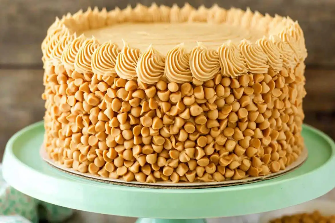 Butterscotch cake with piped frosting and butterscotch chips on sides